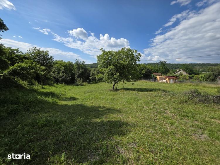 Teren intravilan de vanzare 2340 mp Pauli?, Somus jud. Hunedoara - 8