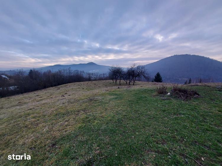Teren de 80000 mp, în Vama