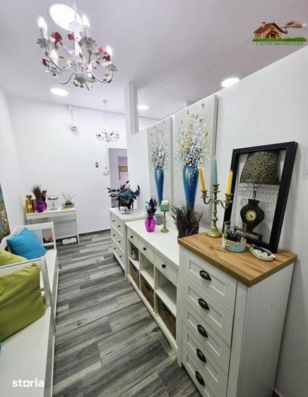 Spațiu comercial, de 60 mp, în Mircea cel Bătrân