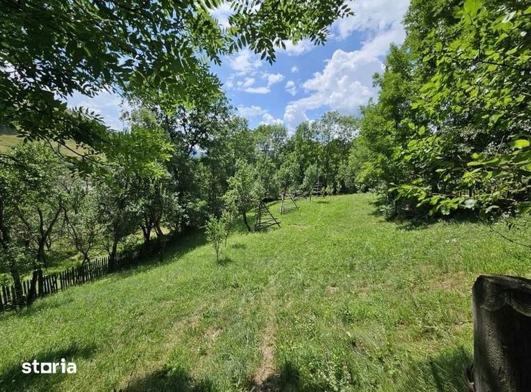 Teren intravilan 1.131 mp | Valea Doftanei | panorama spre munte - 2