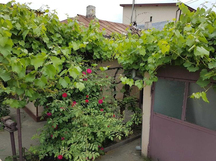 Teren de 309 mp, în Colentina