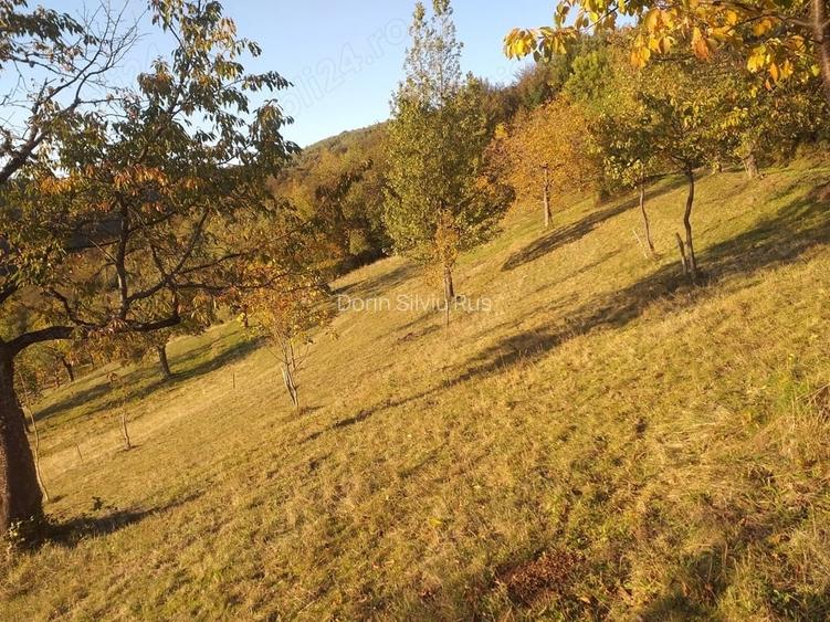 Vand teren pt cabana
