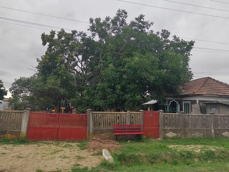 Casă cu 4 camere în Coșoteni