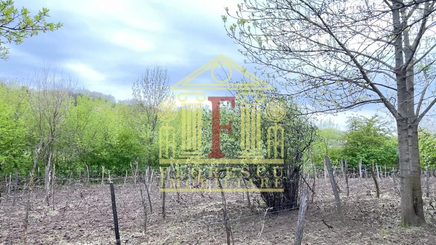 Teren Construcții intravilan de 3200 mp, în Rusenii Vechi