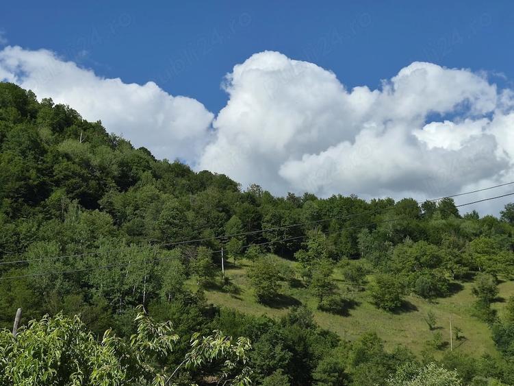 Teren de 8 mp, în Coaș