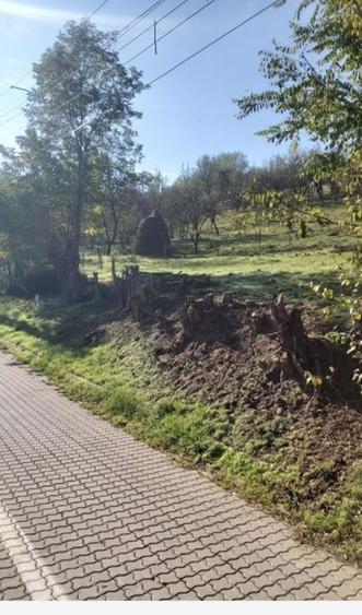Spațiu comercial, în Oarda