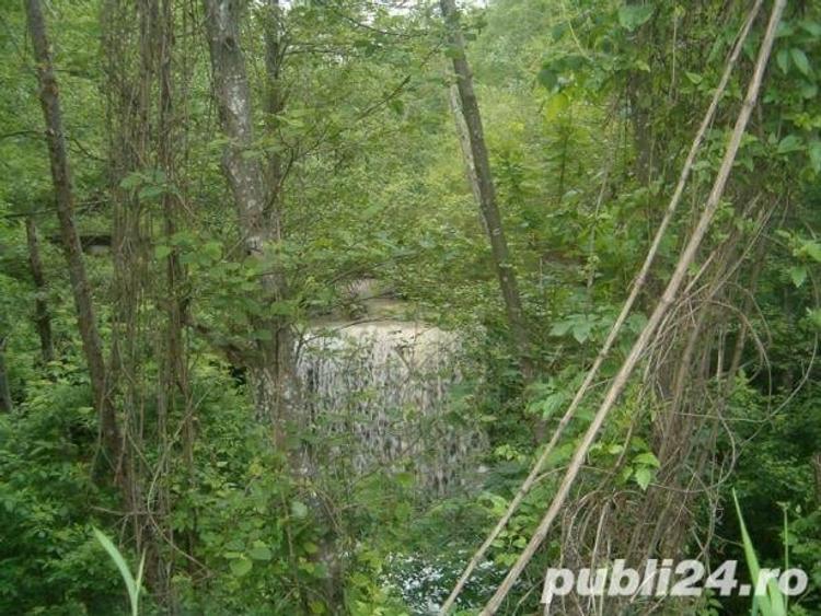 Teren de 4500 mp, în Sud