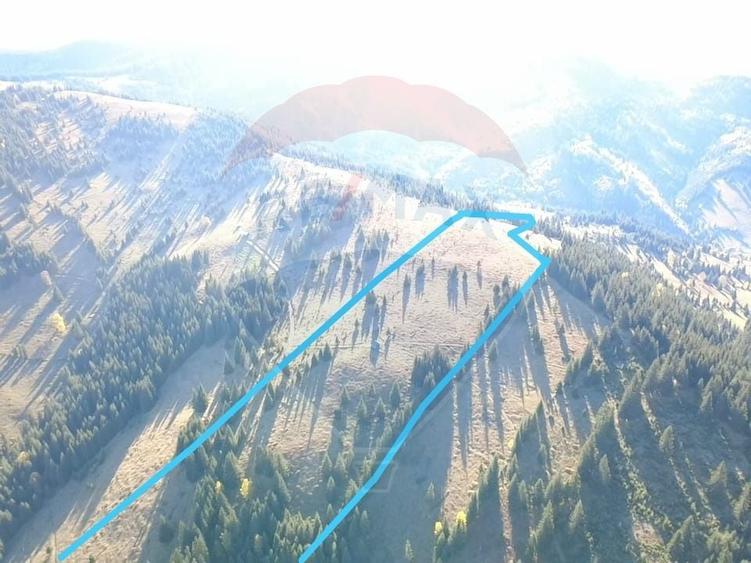 Teren extravilan de 47732 mp, în Panaci