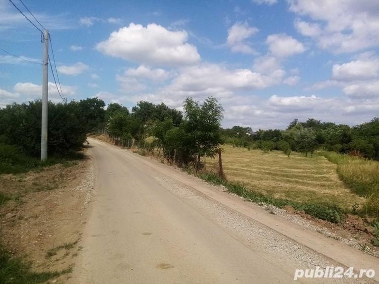 Peris Ilfov, teren 6000 mp, toate utilitatile, excelenta investitie,13 e mp - 3