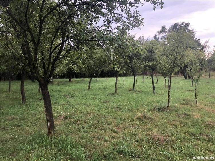 Teren de 1000 mp, în Valea Mare