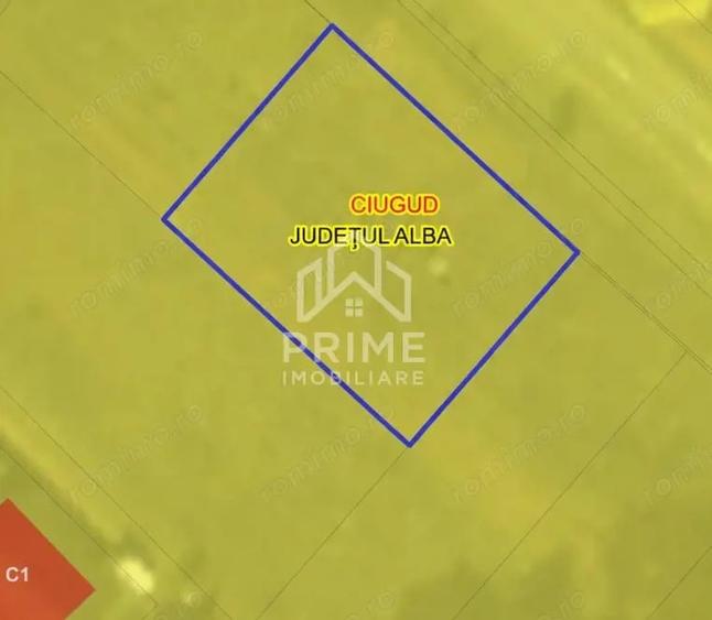 Teren de 772 mp, în Teleac