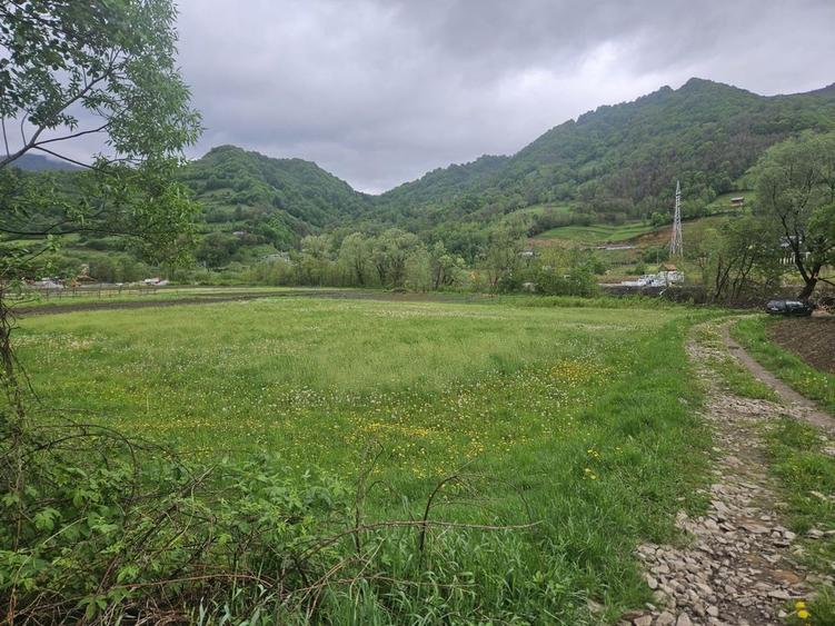 Spațiu comercial, în Rodna
