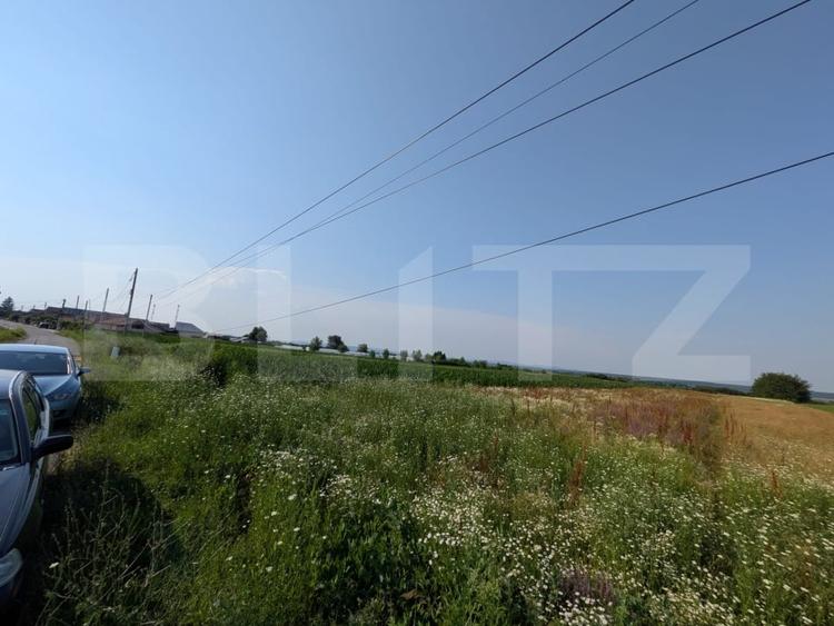 Teren Construcții intravilan de 3000 mp, în Comișani