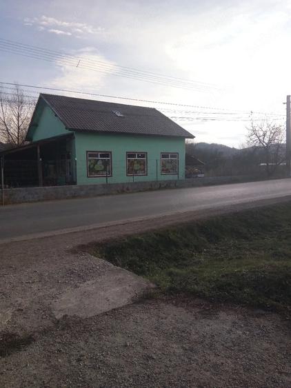 Casă cu 5 camere cu Teren 1000 Mp în Lupești