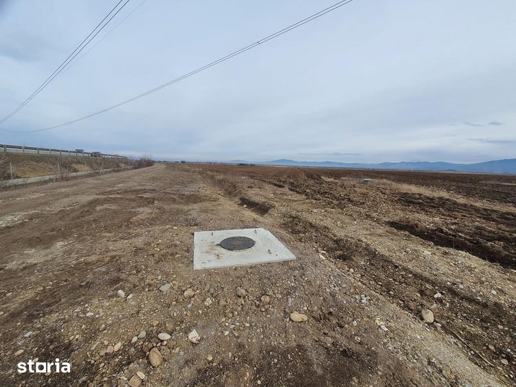 Teren de 6500 mp, în Centură