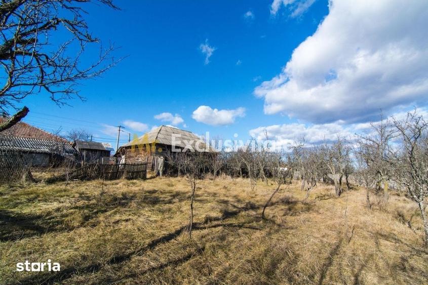Casă cu 3 camere cu Teren 4145 Mp în Vedea