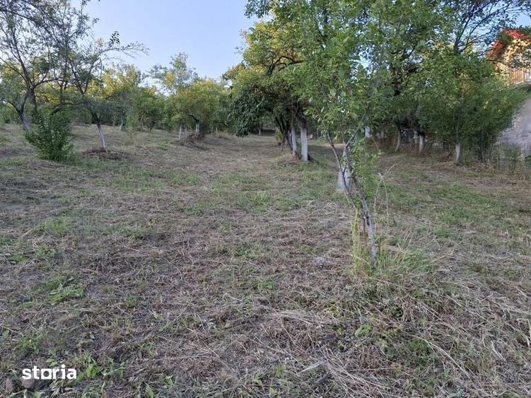 Teren de 1500 mp, în Berislăvești