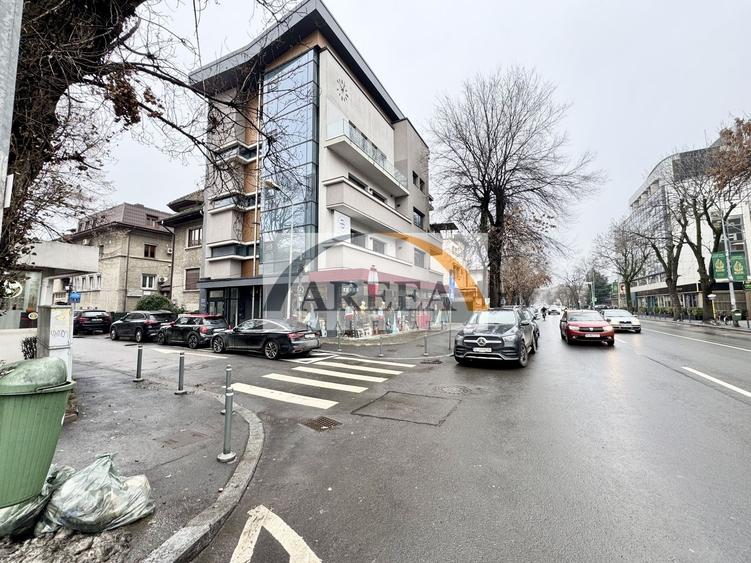Casă individuală cu 10 camere cu Canalizare în Dorobanți