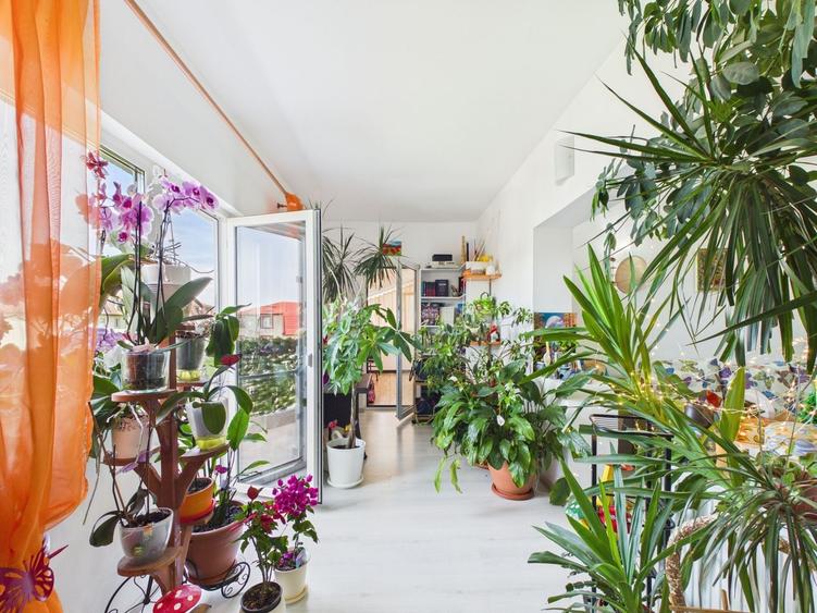 Apartament cu 3 camere decomandat, mobilat în Drumul Taberei