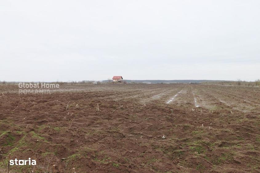 Teren de 4000 mp, în Central