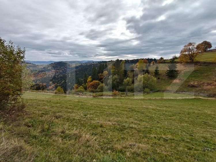Teren Construcții extravilan de 4700 mp, în Mărișel