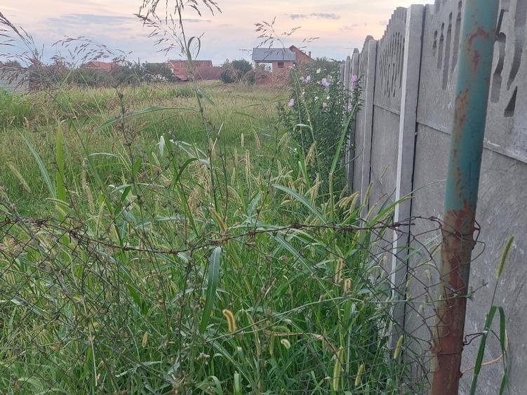 Teren Construcții intravilan în Darova
