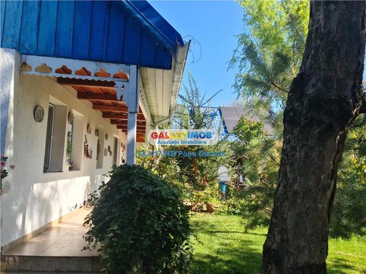 Casă cu 5 camere cu Teren 2400 Mp în Sărulești