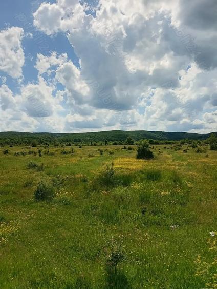 Teren de 1500 mp, în Merișani