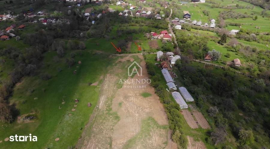Teren de 19356 mp, în Ocna Șugatag