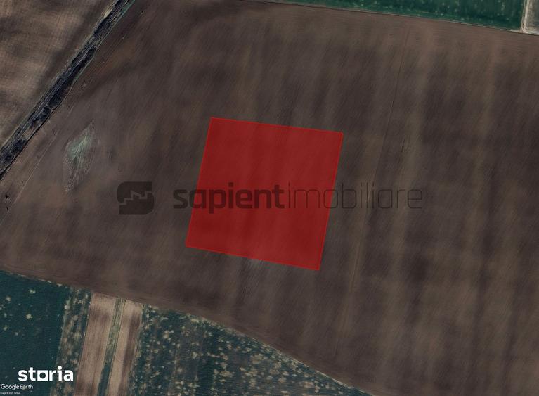 Sapient | Teren extravilan _ zona Calea Aradului - Aeroport - 4
