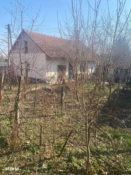 Casă cu 3 camere cu Teren 1500 Mp în Borș
