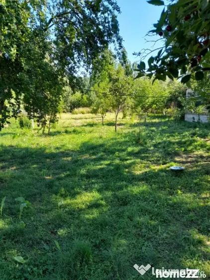 Casă cu 2 camere cu Teren 1800 Mp în Central