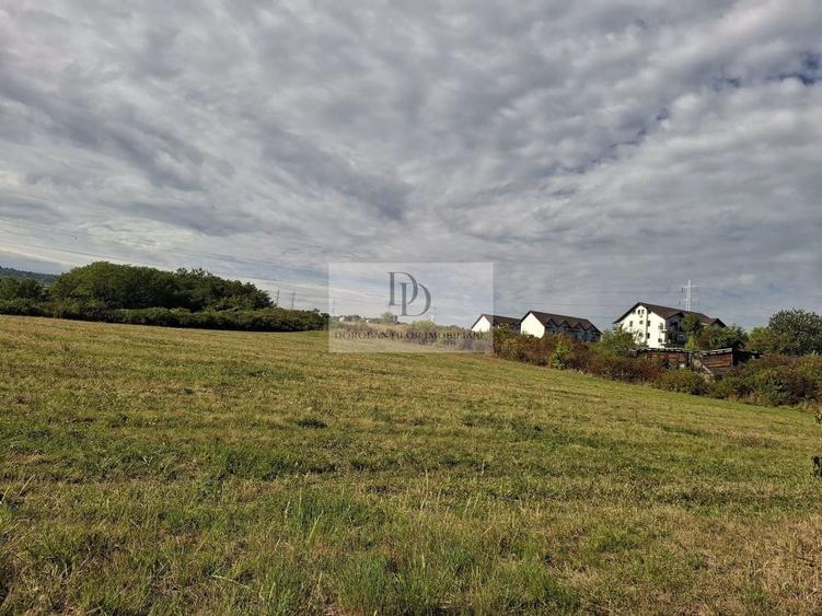 Teren Construcții intravilan de 37976 mp, în Bună Ziua