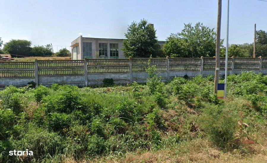 Teren de 980000 mp, în Șuletea