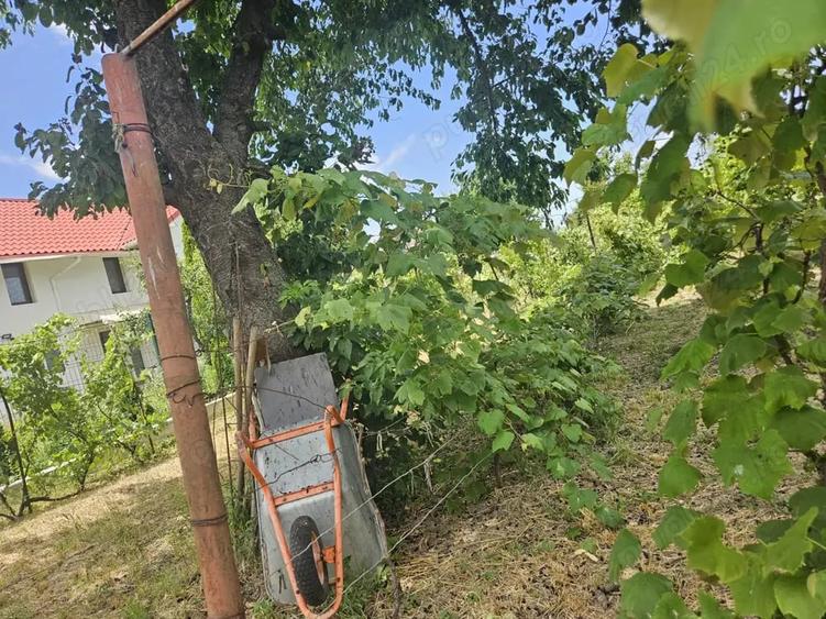 Teren de 455 mp, în Letea Veche