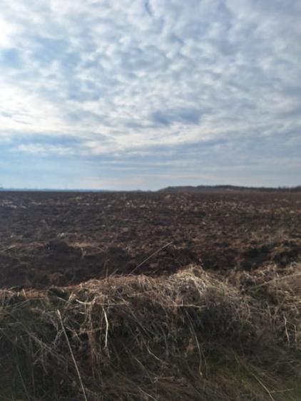 Teren agricol extravilan de 15800 mp, în Săliștea