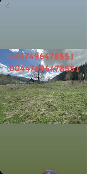 Teren de 14200 mp, în Ceahlău