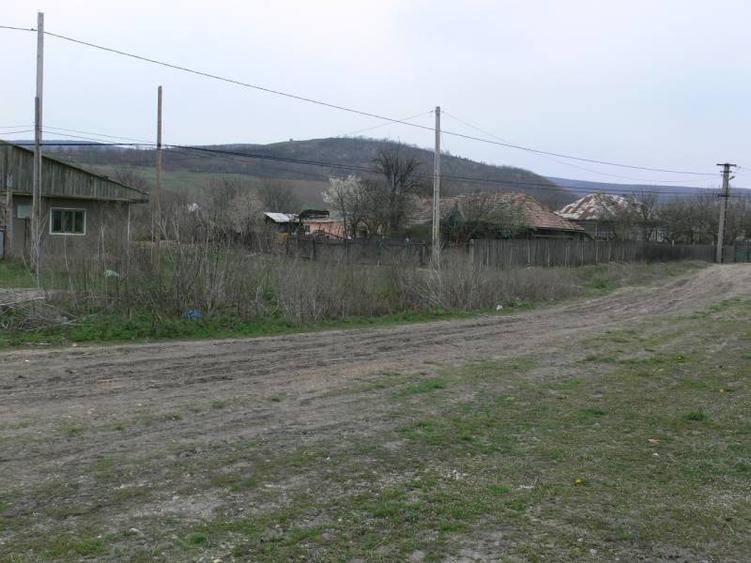 Teren Construcții intravilan de 6170 mp, în Negrești
