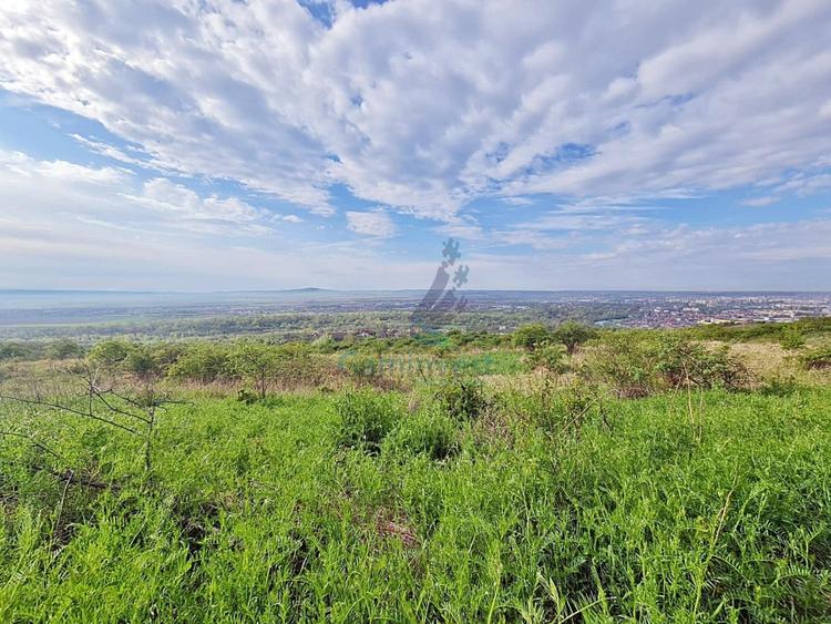 Teren Construcții intravilan de 12217 mp, în Podgoria