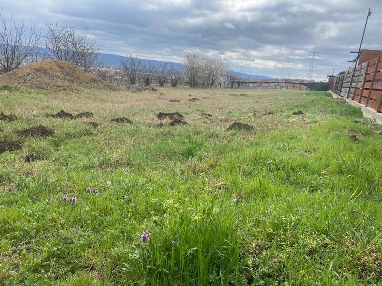 Teren Construcții intravilan de 450 mp, în Miroslava