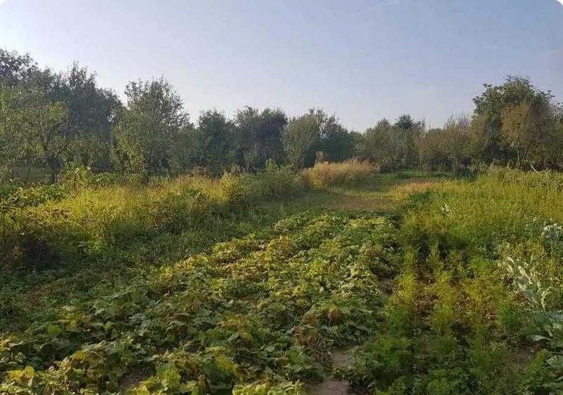 Casă cu 3 camere în Cheud