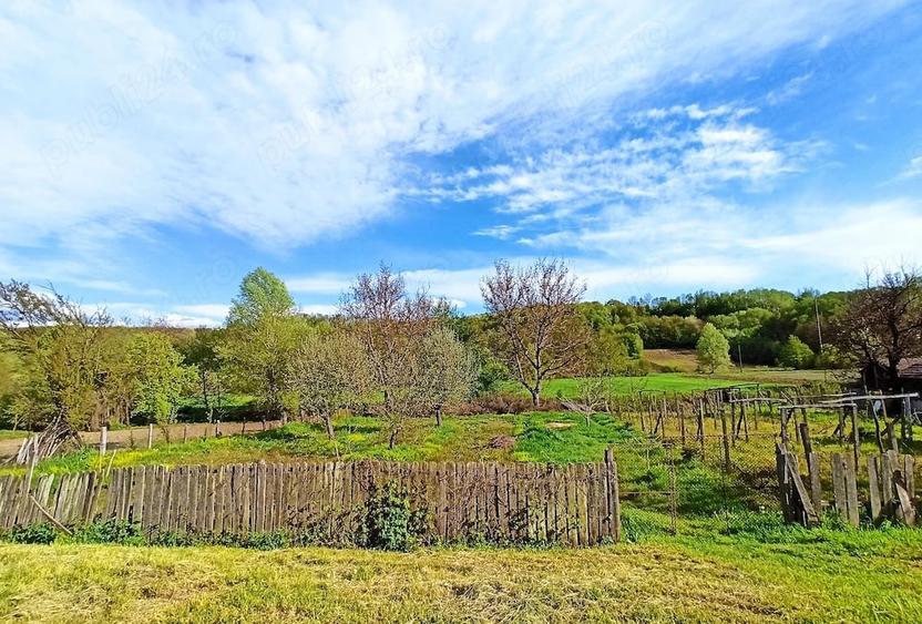 Casă cu Teren 2480 Mp în Păltinișu
