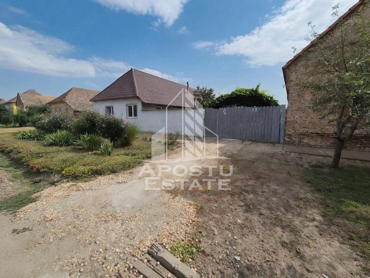 Se vinde casa in Teremia Mare, renovata, teren generos de 1.439 mp - 11