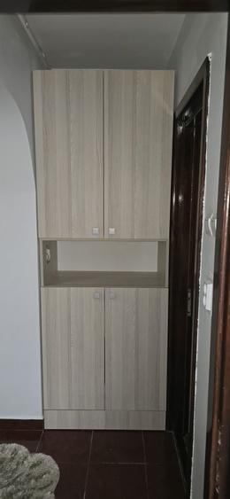 Apartament cu 2 camere decomandat în Paltin