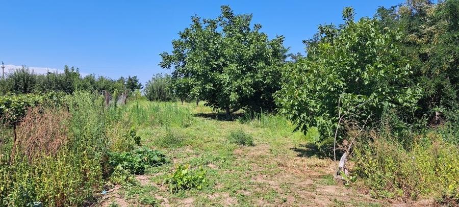 Casă cu 4 camere în Drăghiceni