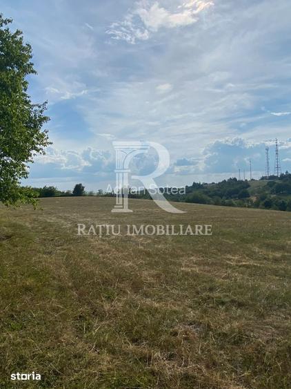 Teren Intravilan | 17.500 mp | S?inteu | Bihor
