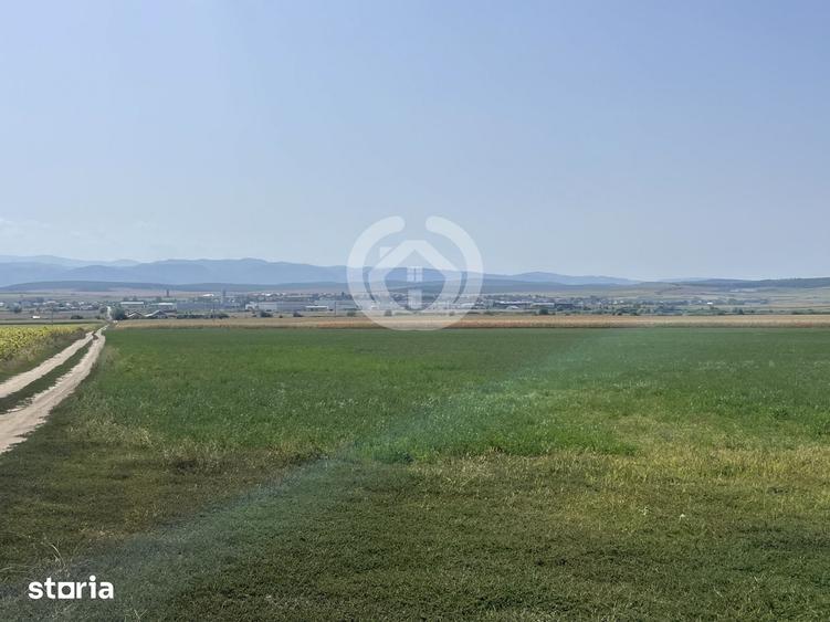 Teren de 20500 mp, în Central