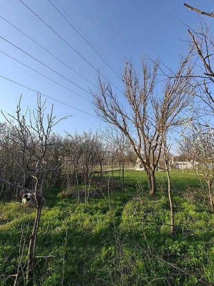 Teren de 600 mp, în Bucov