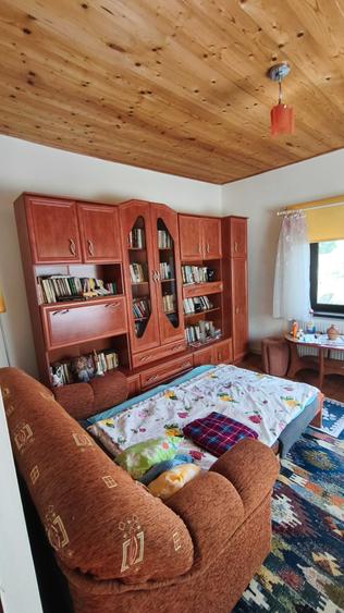 Casă cu 3 camere în Pianu