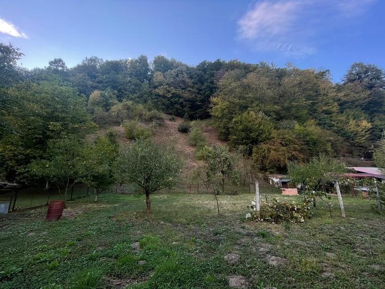 Casă cu 3 camere în Nădrag